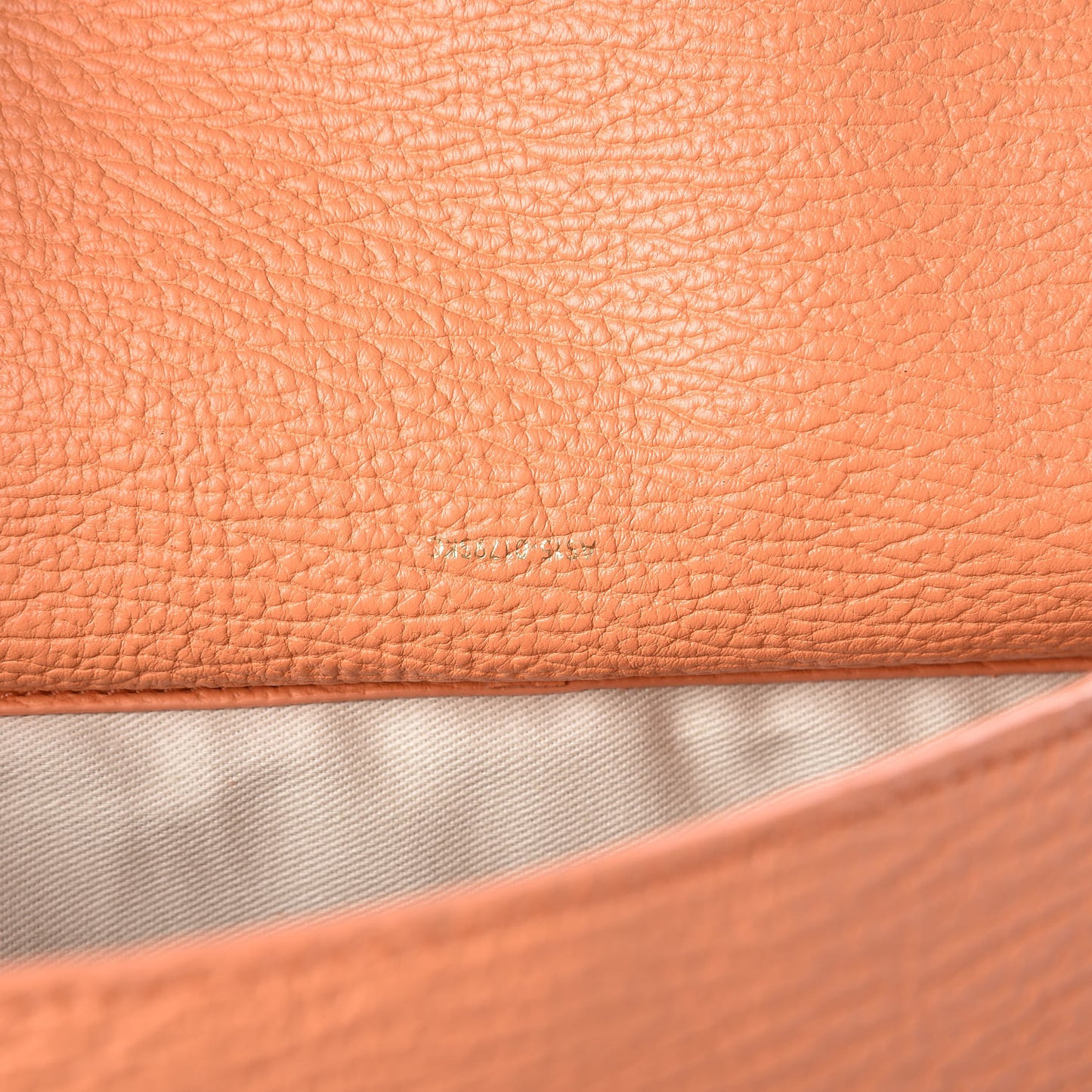 3.1 Textured Calfskin Medium Pashli Satchel Melon