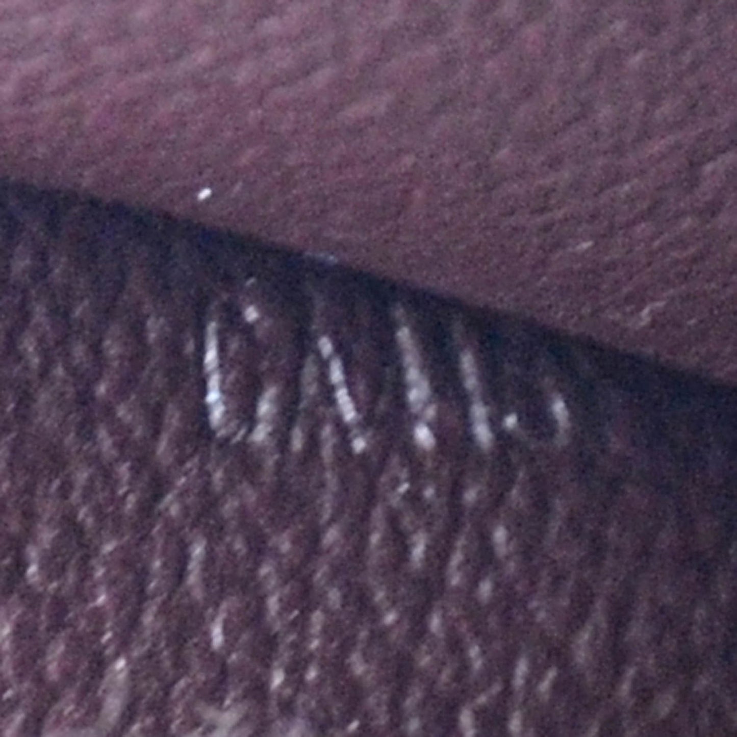 Electric Epi Cosmetic Pouch Prune