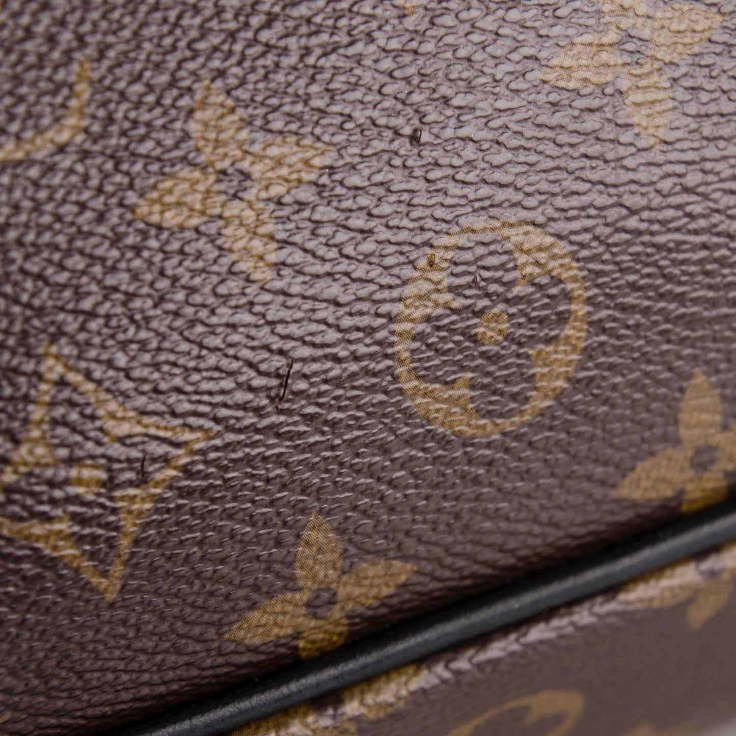 Monogram Macassar Christopher PM Backpack