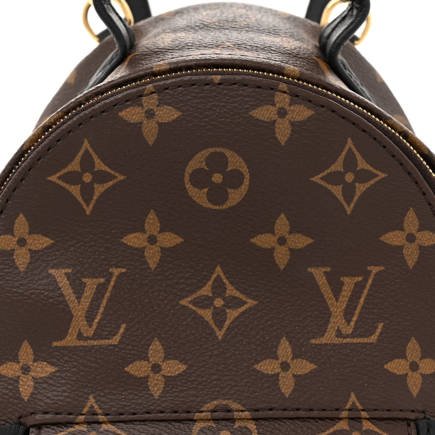 Monogram Palm Springs Backpack Mini