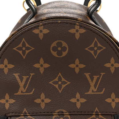 Louis Vuitton Monogram Palm Springs Backpack Mini 7 of 10