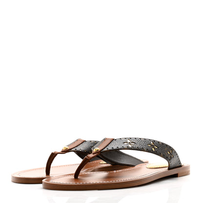 Louis Vuitton Monogram Sunny Flat Thong Sandals 39 Brown 3 of 9