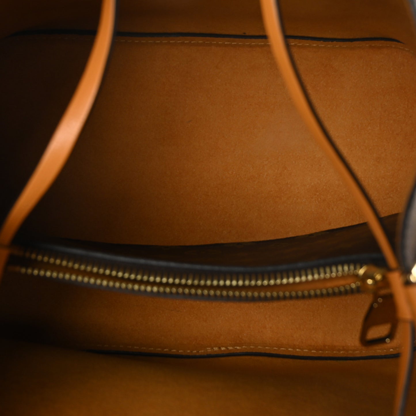 Monogram Neonoe MM Safran