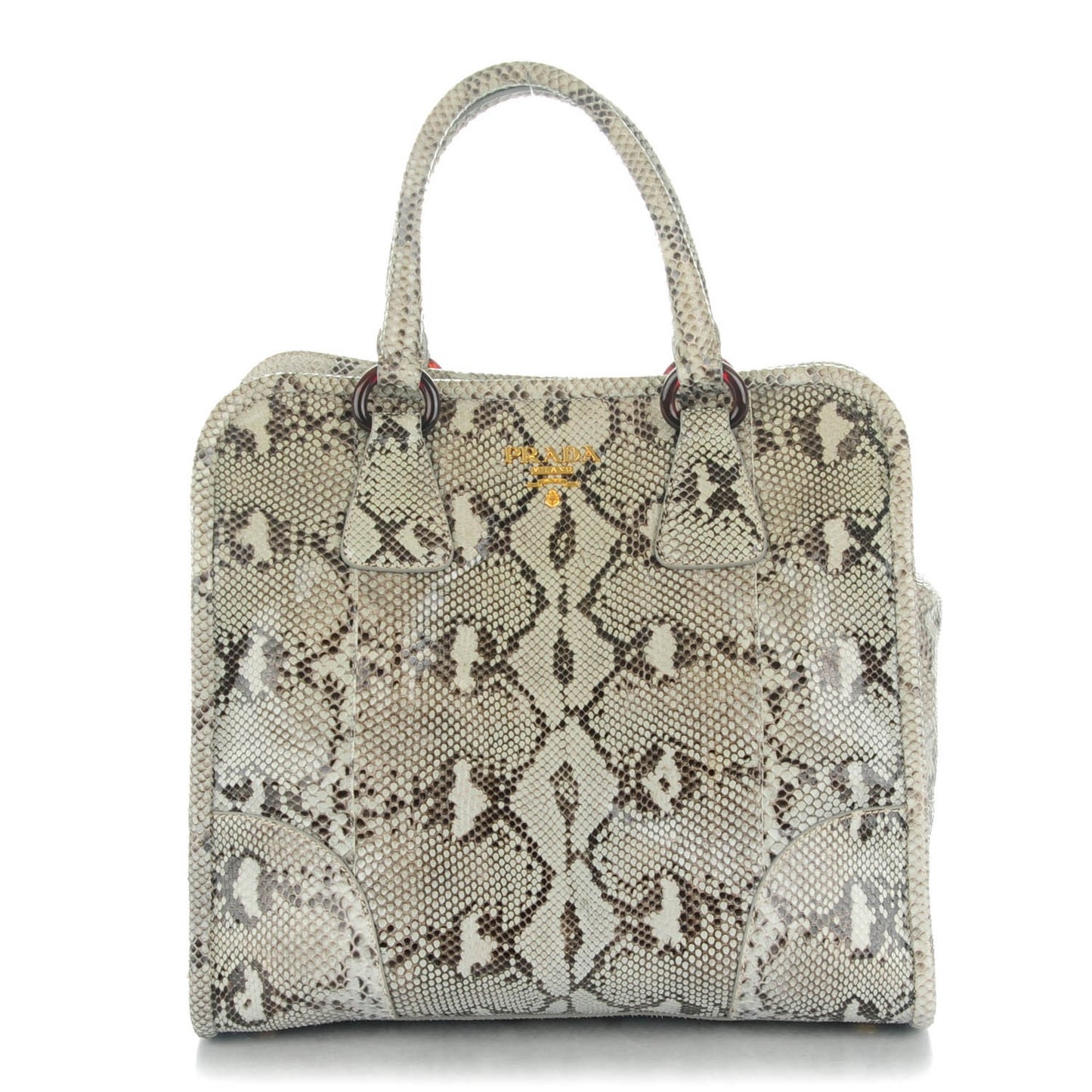 Shiny Python Tote Astro