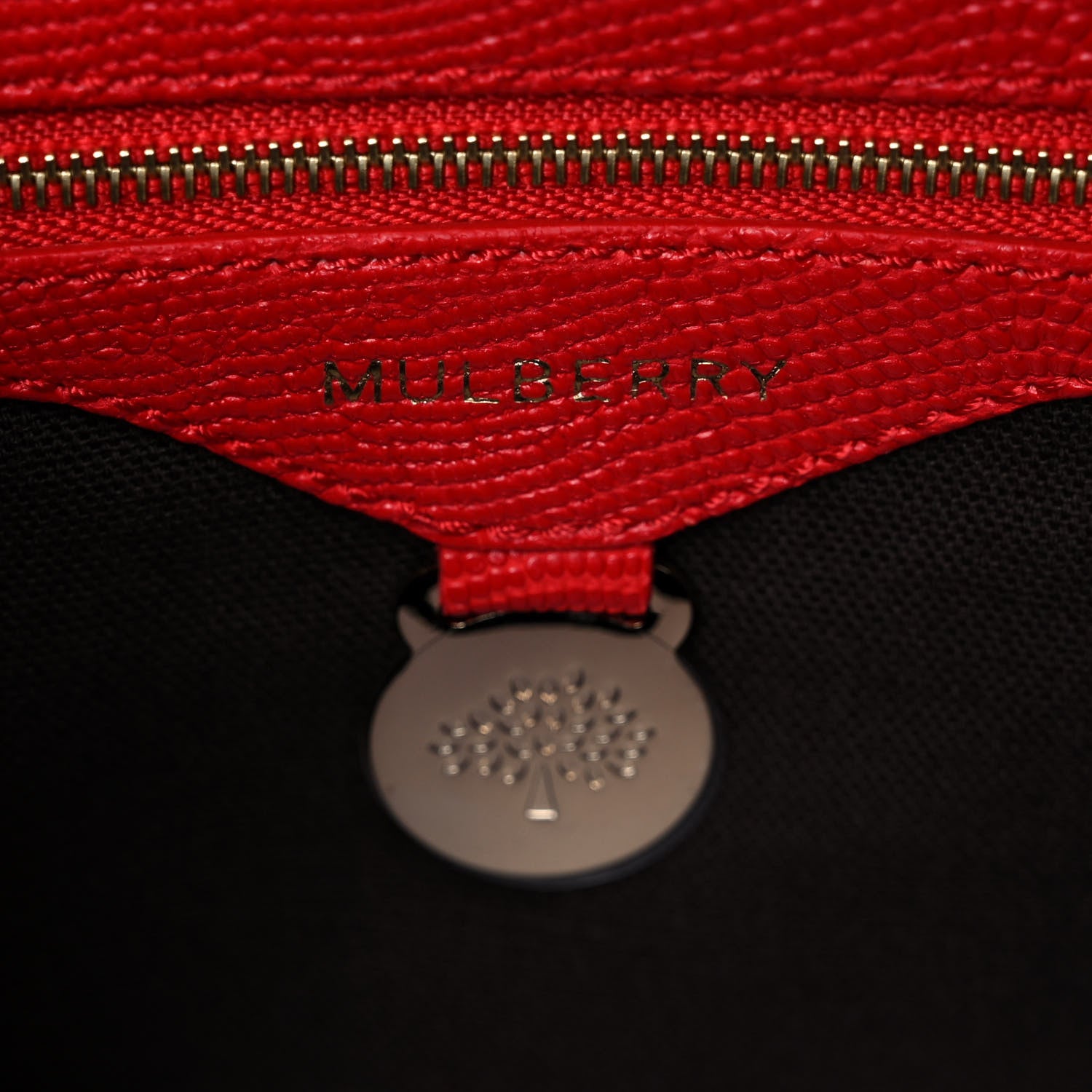 Mulberry Lizard Embossed Calfskin Bayswater Shoulder Bag Bright Red 6 of 9