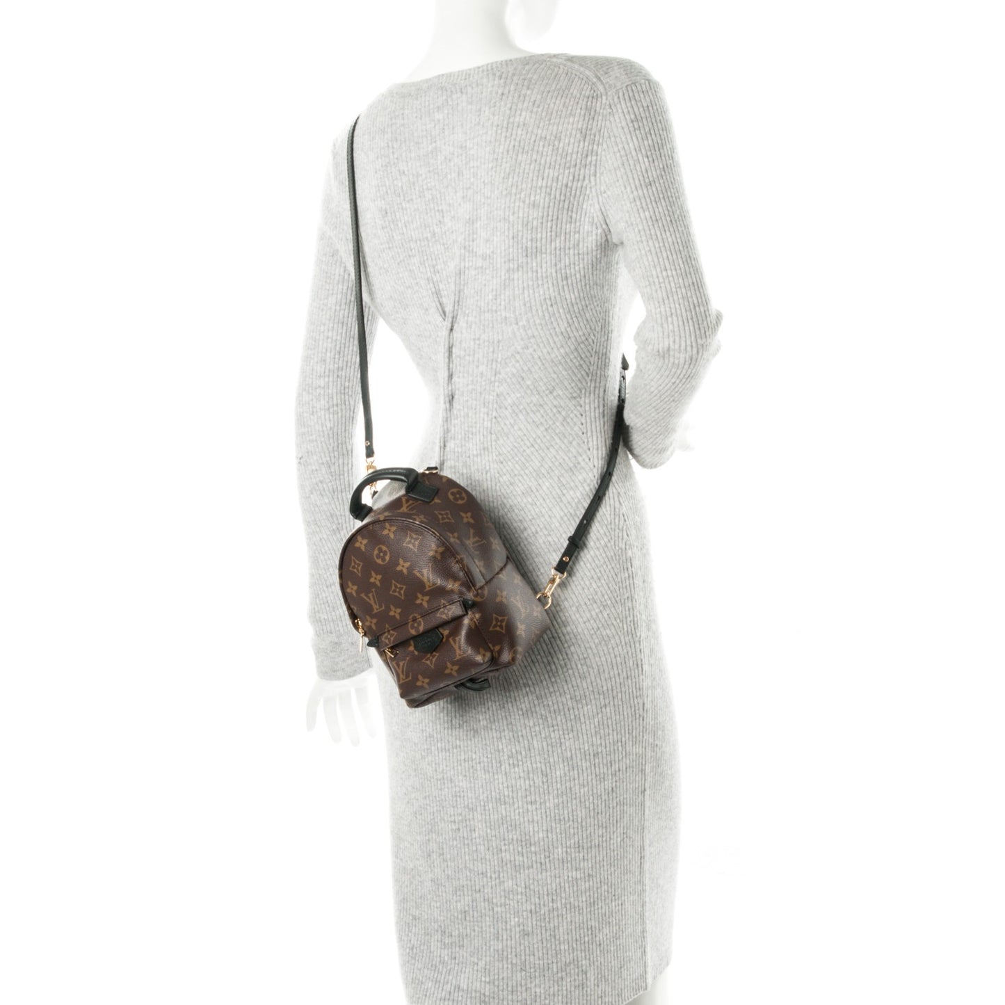 Monogram Palm Springs Backpack Mini