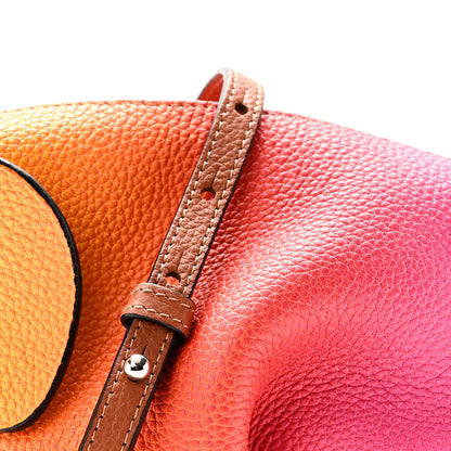 Loewe Calfskin Mini Elephant Crossbody Bag Ombre 7 of 9