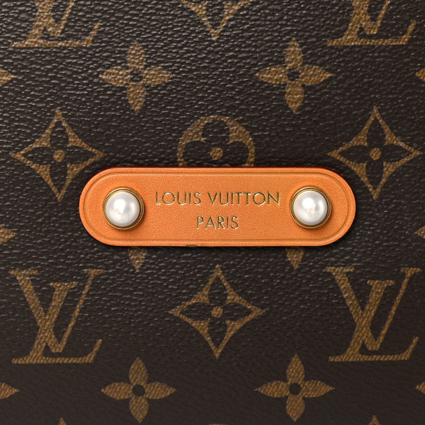 Monogram Vagabond Hobo