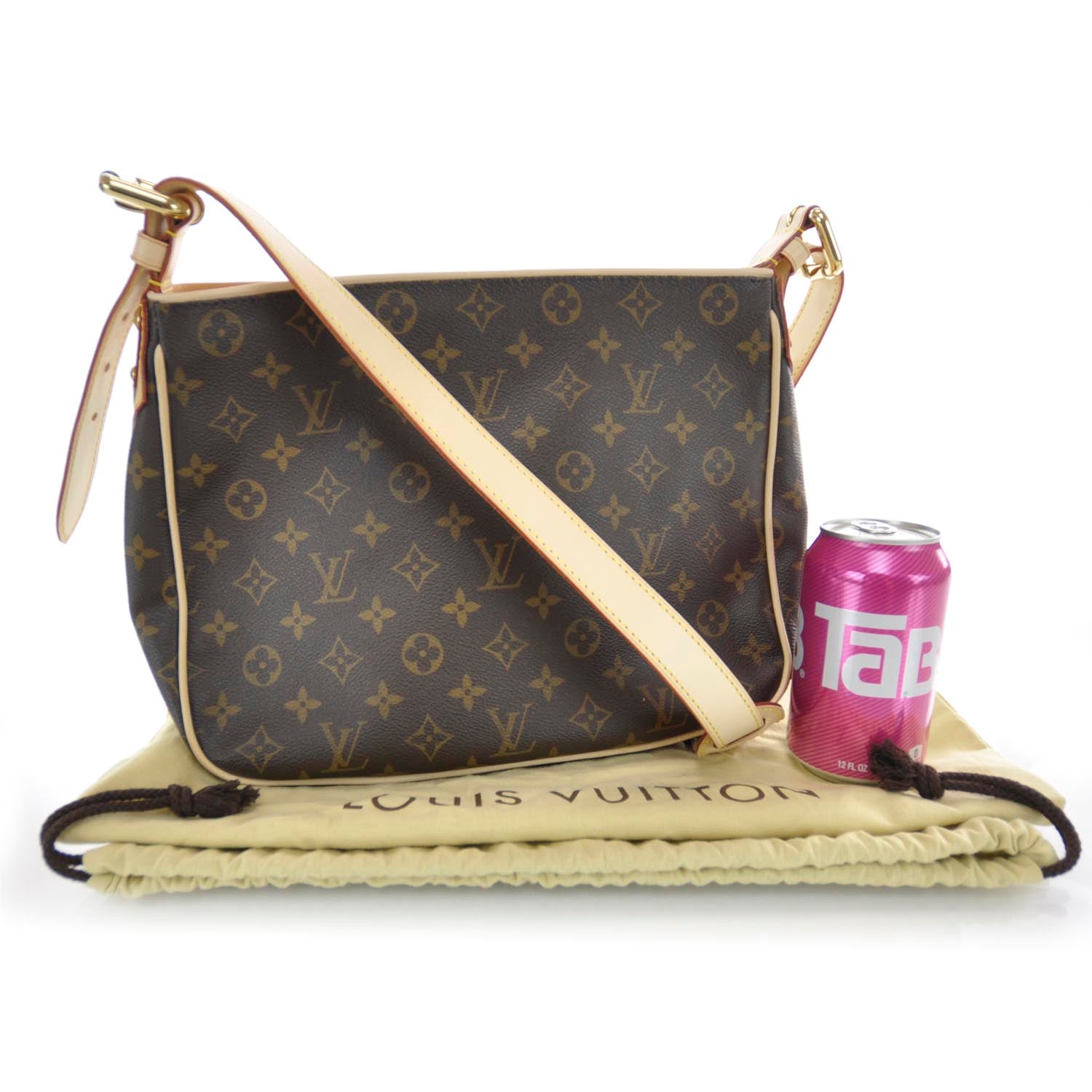 Louis Vuitton Monogram Hudson GM 3 of 7