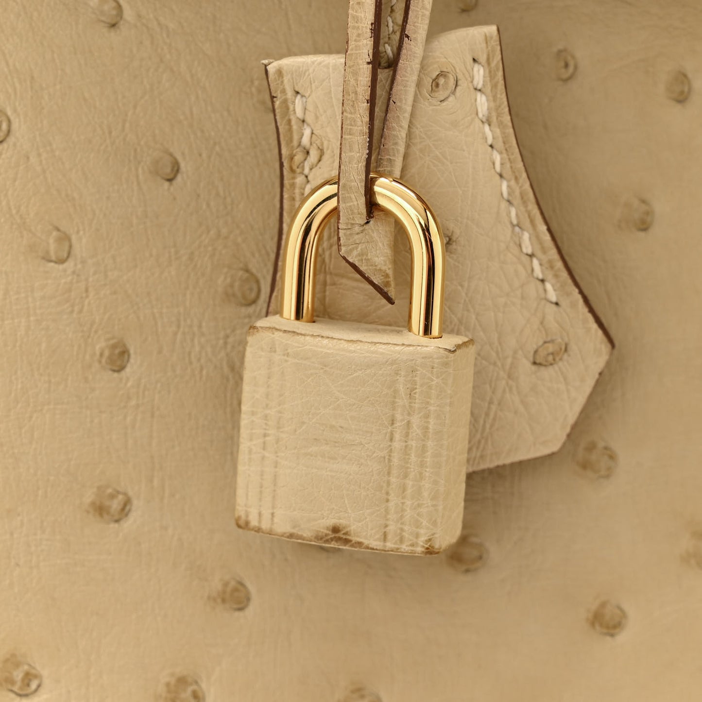 Ostrich Birkin 30 Parchemin