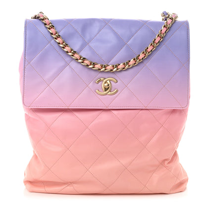 Chanel Shaded Calfskin CC Hobo Light Purple Pink Coral 1 of 10
