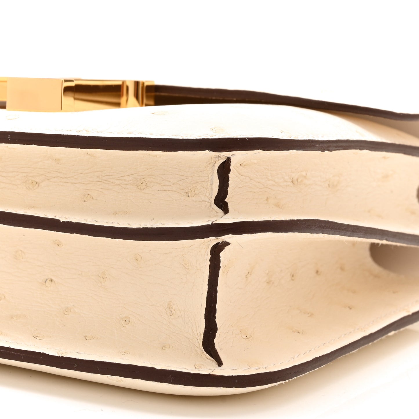Ostrich Constance 18 Nata