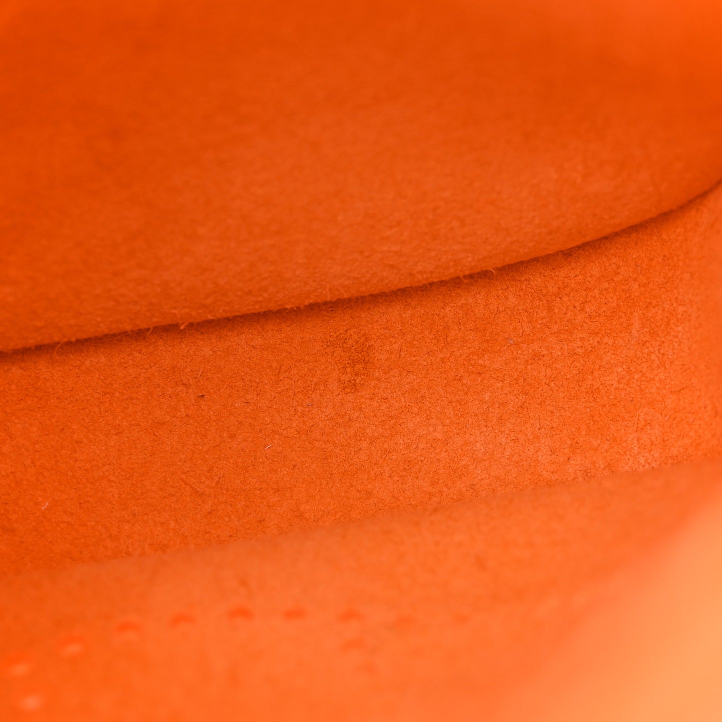 Taurillon Clemence Evelyne TPM Orange