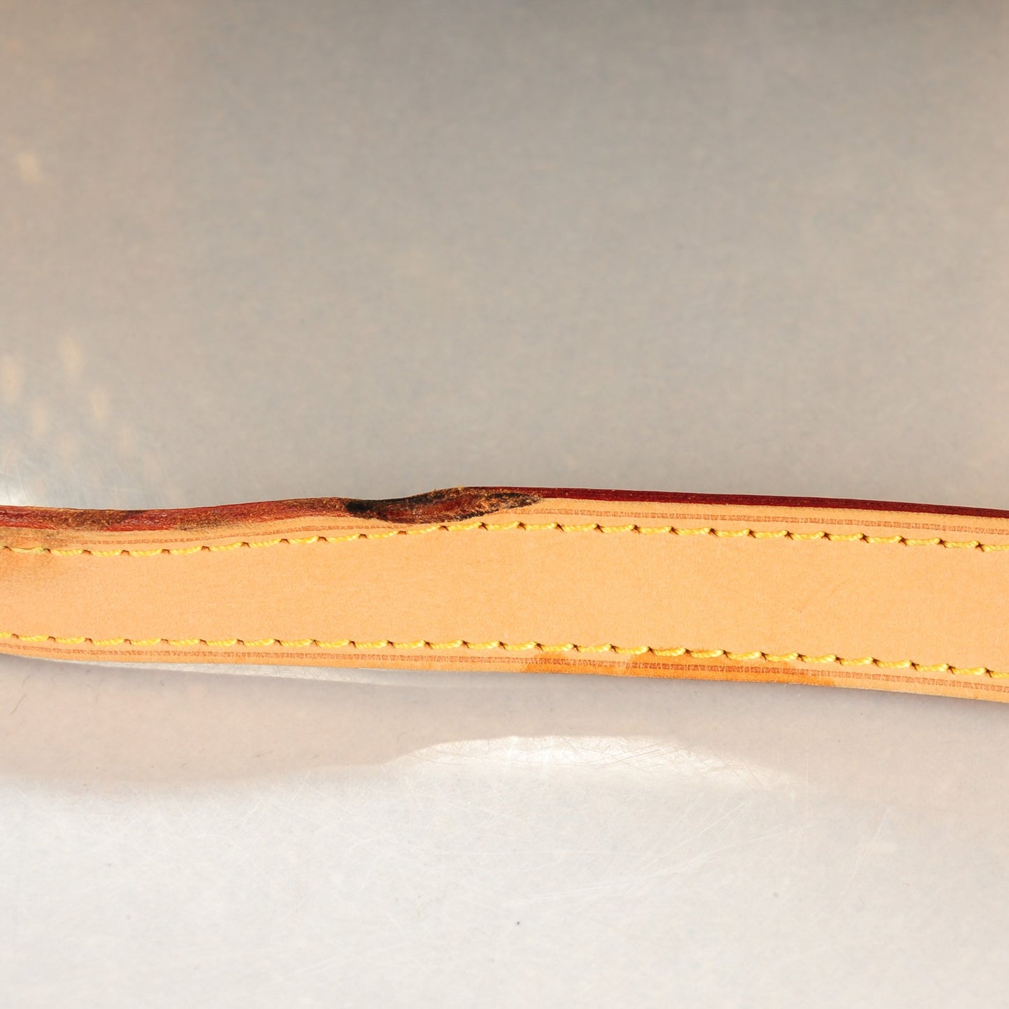 Monogram Multicolor Courtney GM Black