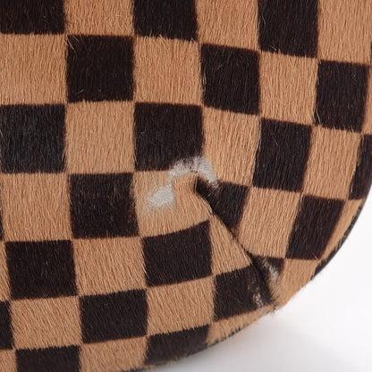 Louis Vuitton Calf Hair Damier Sauvage Tigre 12 of 13