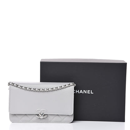 Chanel Grained Calfskin Quilted CC Box Wallet On Chain WOC Grey 12 of 12