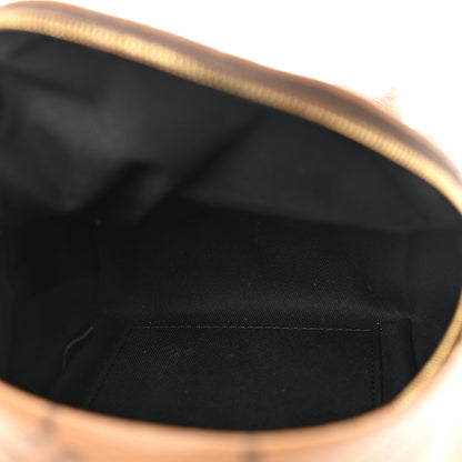 Louis Vuitton Reverse Monogram Palm Springs Backpack Mini 5 of 15