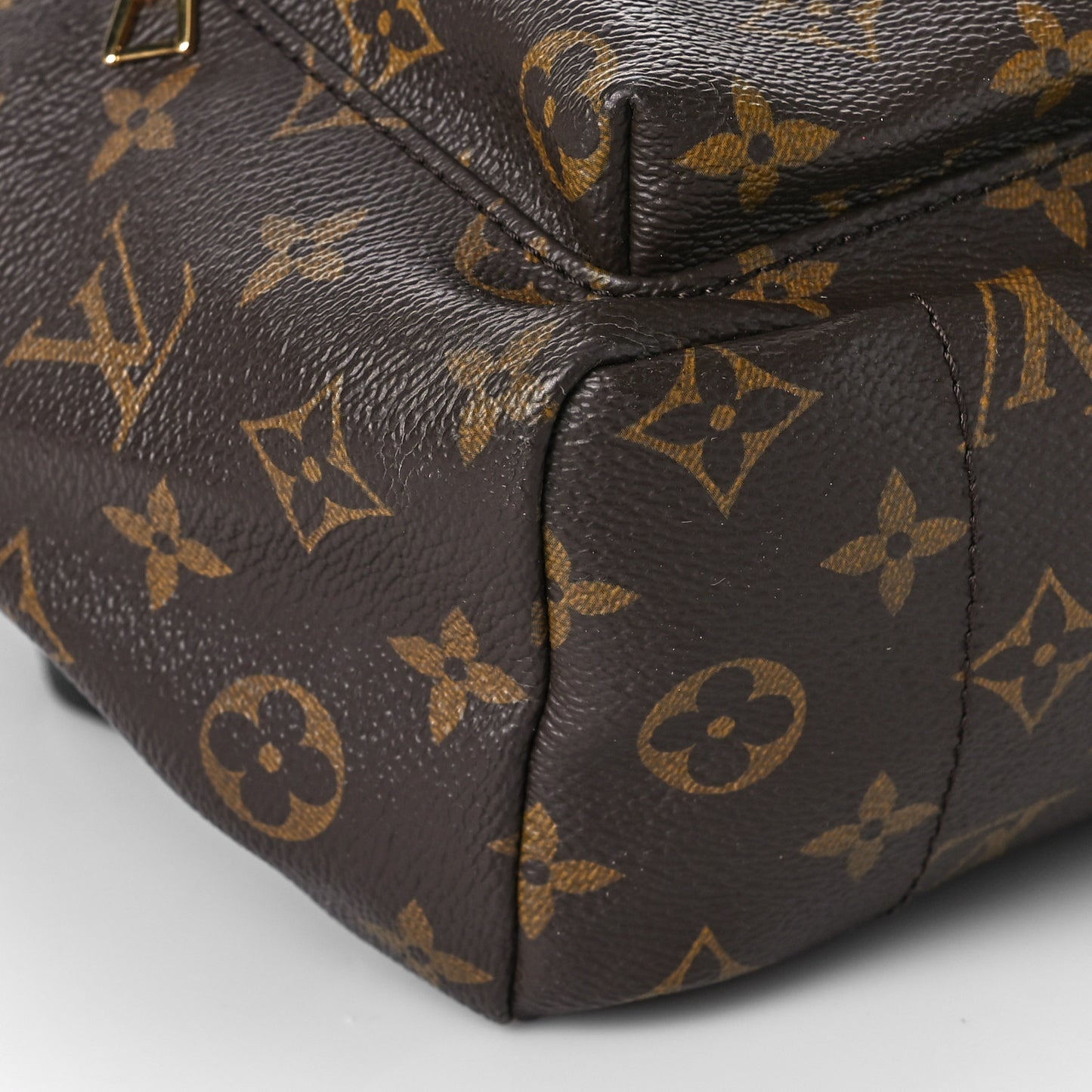 Monogram Palm Springs Backpack PM