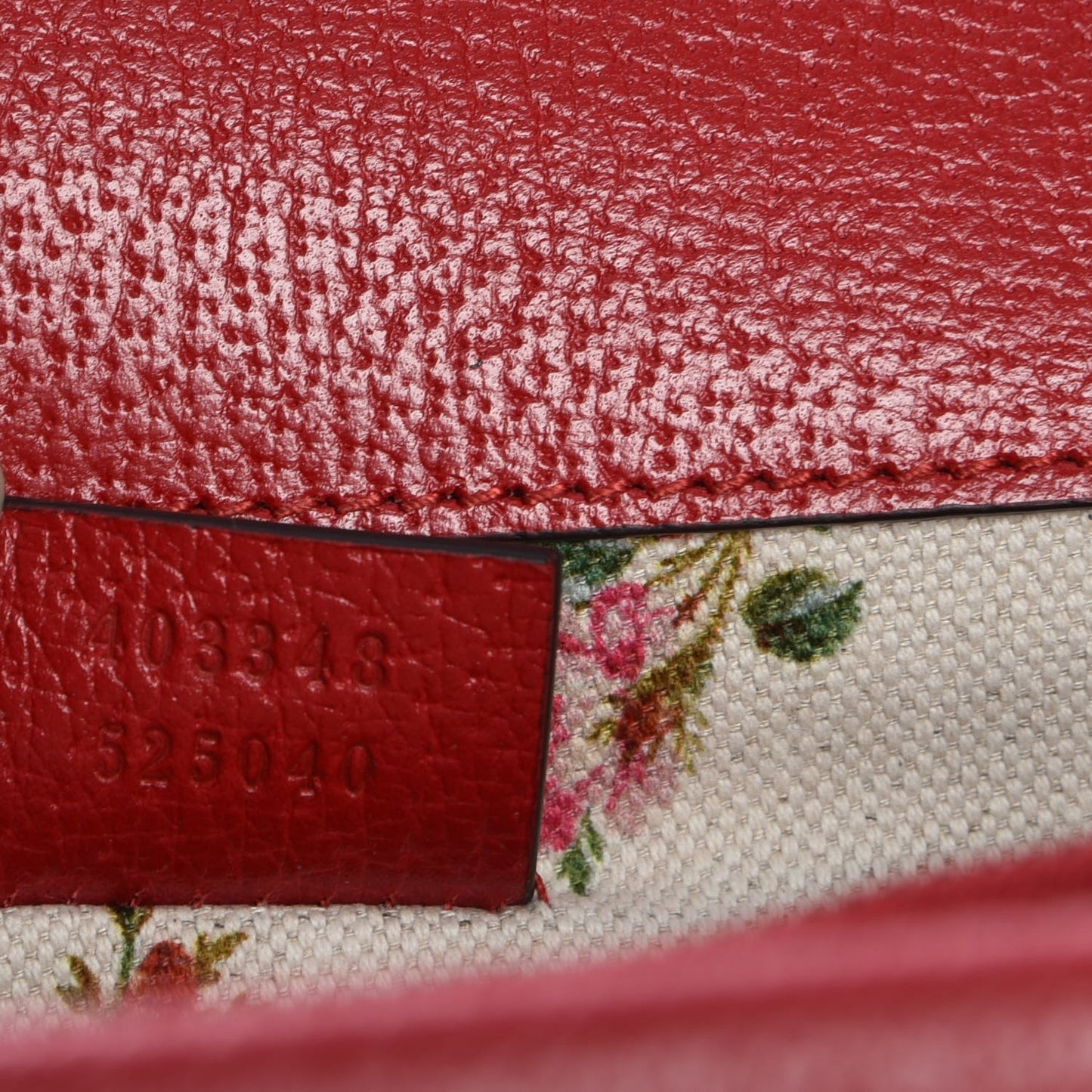 Textured Calfskin Web Medium Dionysus Shoulder Bag Hibiscus Red