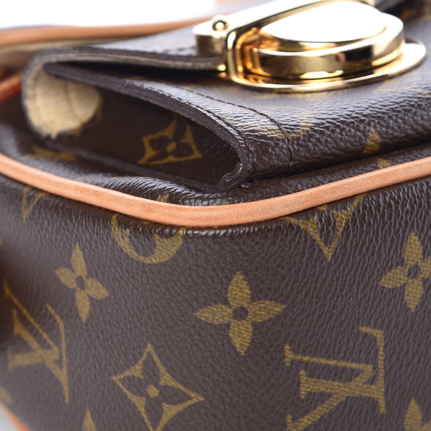 Louis Vuitton Monogram Hudson PM 8 of 12