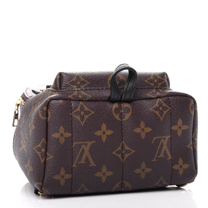 Louis Vuitton Monogram Palm Springs Backpack Mini 4 of 10