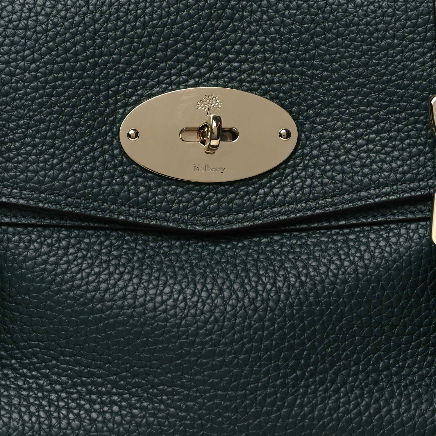 Mulberry Heavy Grain Medium Alexa Mulberry Green 7 of 9