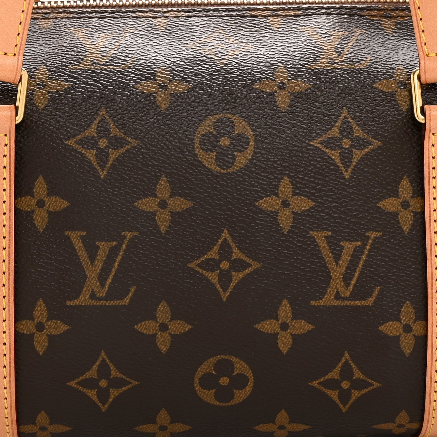 Monogram Papillon 30