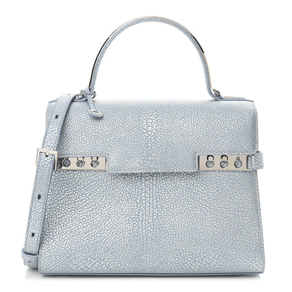 Delvaux Metallic Crispy Calfskin Metal Glam MM Tempete Satchel Flashlight 1 of 11
