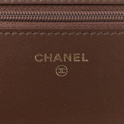 Chanel Lambskin Quilted Chanel 19 Wallet On Chain WOC Brown 6 of 12
