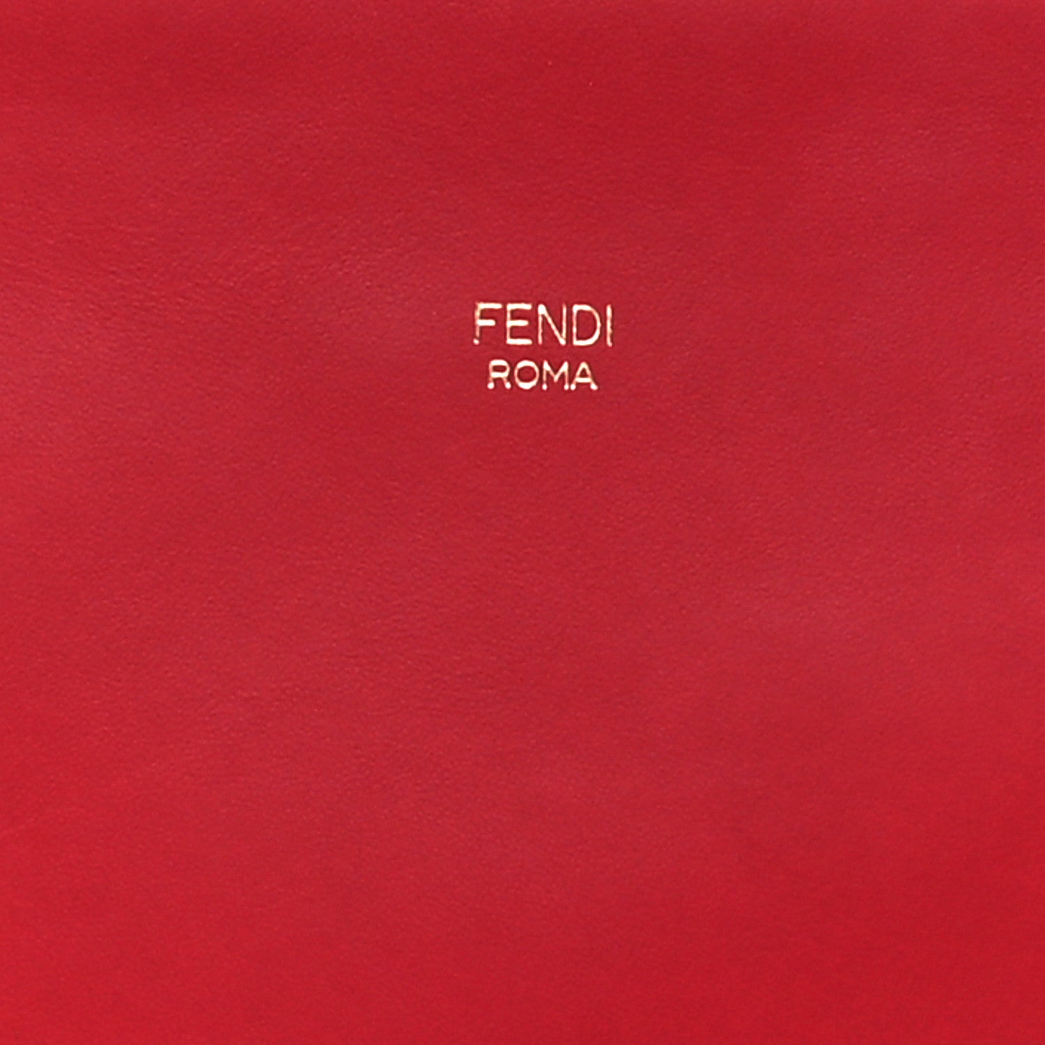 Fendi Vitello Century F is Fendi Camera Case Fiamma 8 of 14