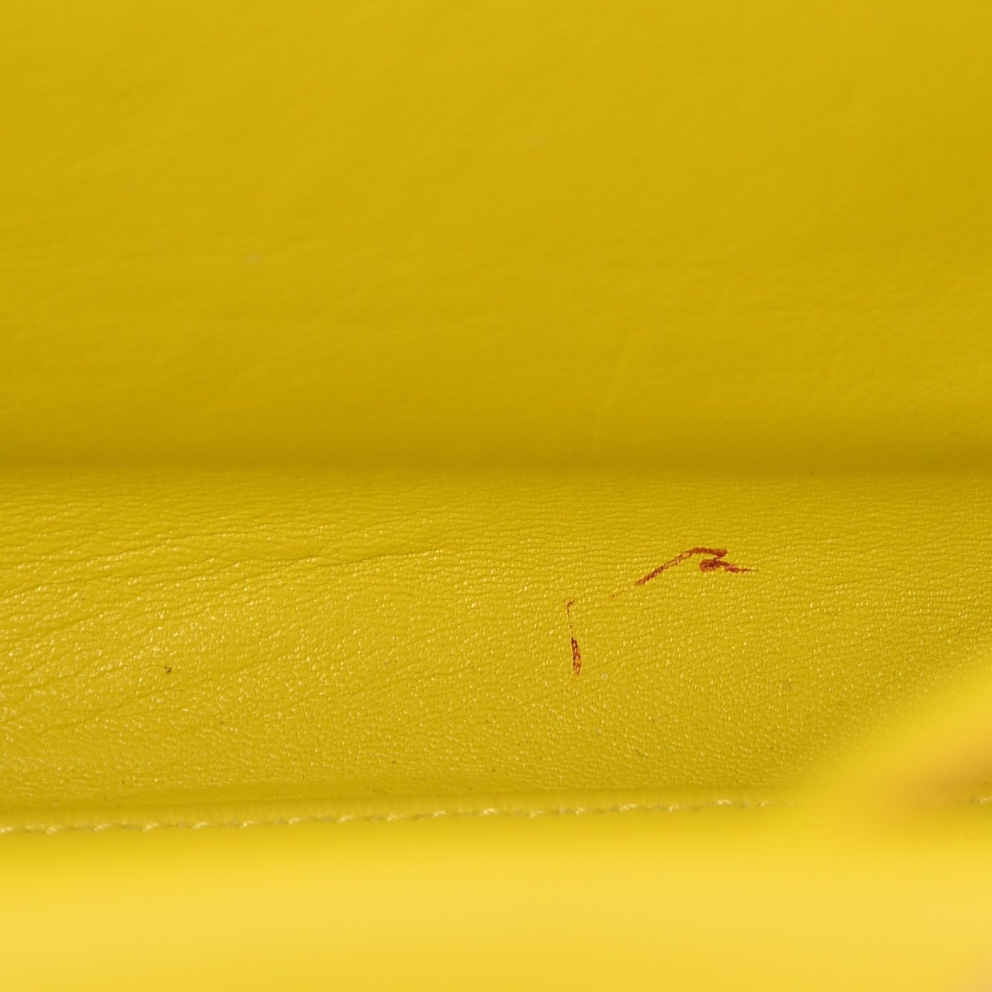 Pony Hair Medium Phantom Luggage Citron