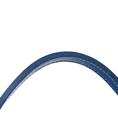 Goyard Goyardine Saint Louis GM Sky Blue 14 of 14