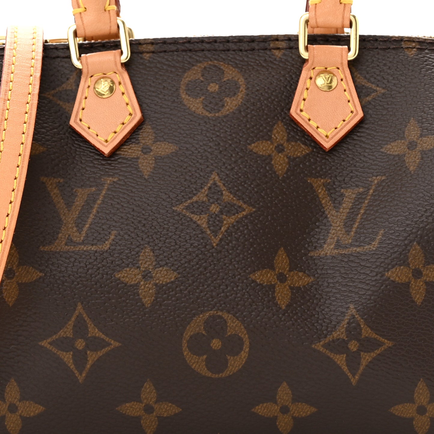 Monogram Nano Speedy