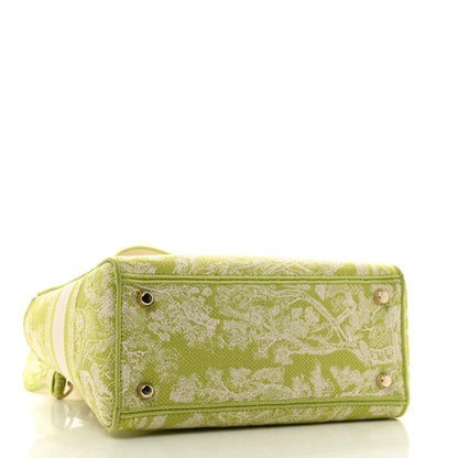 Christian Dior Canvas Toile De Jouy Reverse Embroidered Medium Lady D-Lite Green 4 of 12