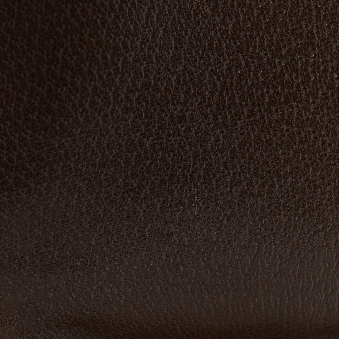 GG Supreme Monogram Textured Dollar Calfskin Web Medium Blondie Shoulder Flap Bag Beige Ebony New Acero