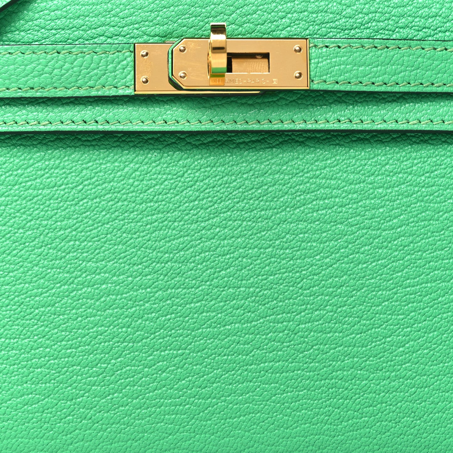 Chevre Mysore Mini Kelly Sellier 20 Vert Comics