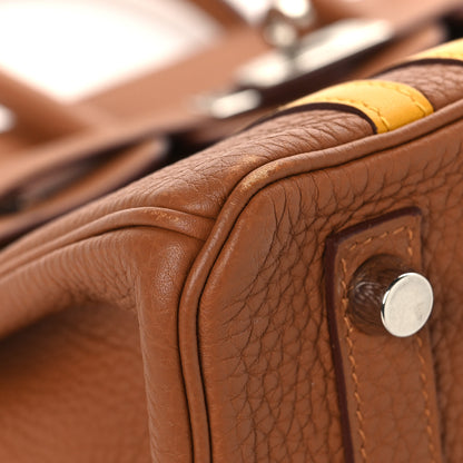 Hermes Togo Swift Officier Birkin 25 Gold Ambre 9 of 13