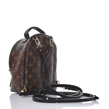 Louis Vuitton Monogram Palm Springs Backpack Mini 3 of 7