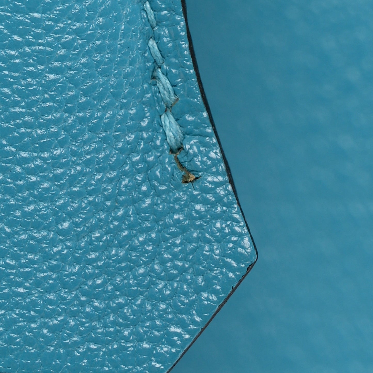 Chevre de Coromandel Birkin 30 Turquoise