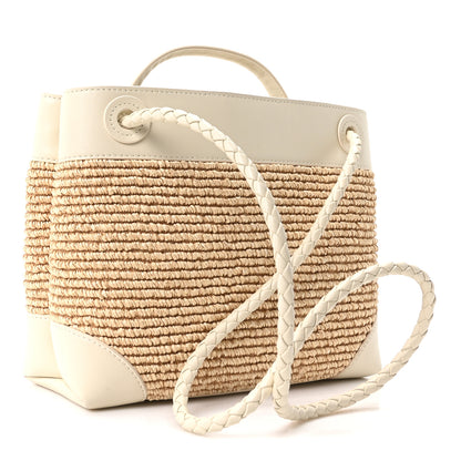 Bottega Veneta Raffia Calfskin Small Andiamo Shoulder Bag Sea Salt Natural 2 of 9