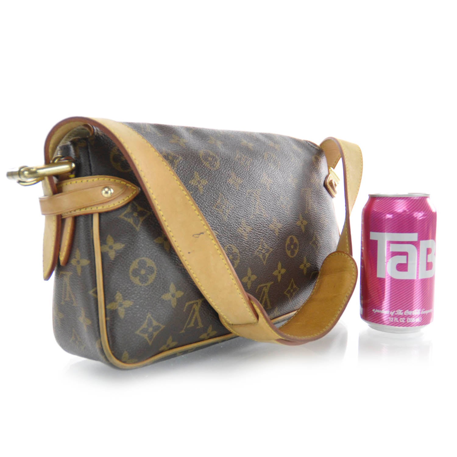 Louis Vuitton Monogram Hudson PM 3 of 7