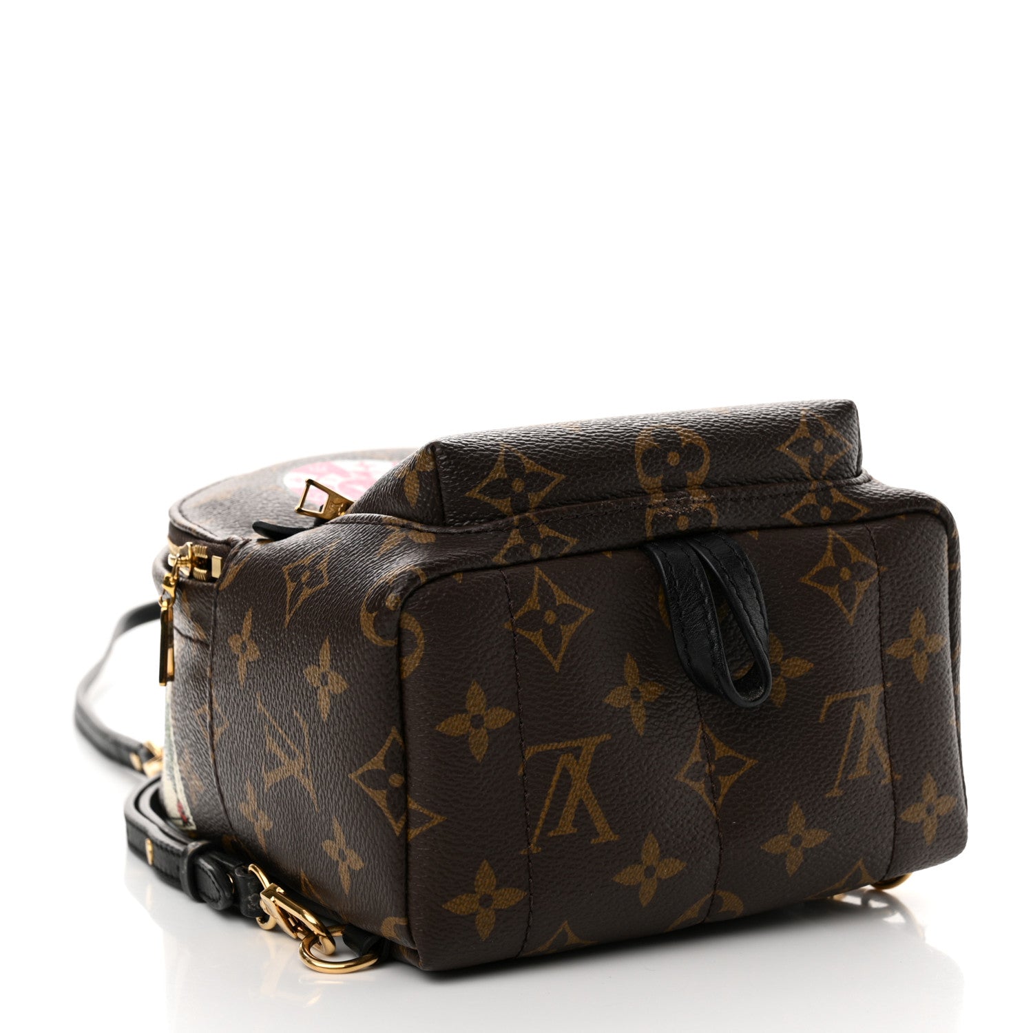 Louis Vuitton Monogram World Tour Palm Springs Backpack Mini 4 of 15