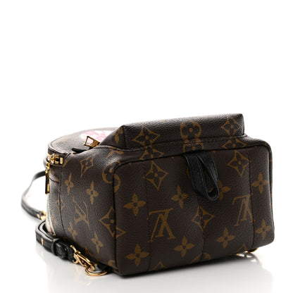 Louis Vuitton Monogram World Tour Palm Springs Backpack Mini 4 of 15