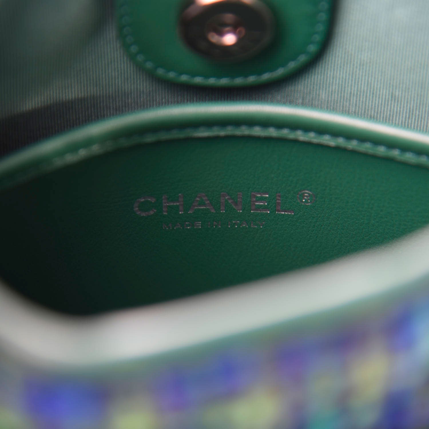 Chanel Tweed Calfskin Jungle Stroll Hobo Bag Green Multicolor 9 of 11