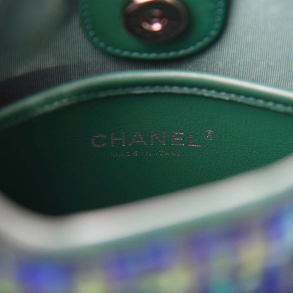 Chanel Tweed Calfskin Jungle Stroll Hobo Bag Green Multicolor 9 of 11