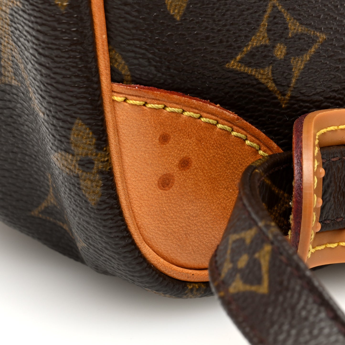 Monogram Amazone