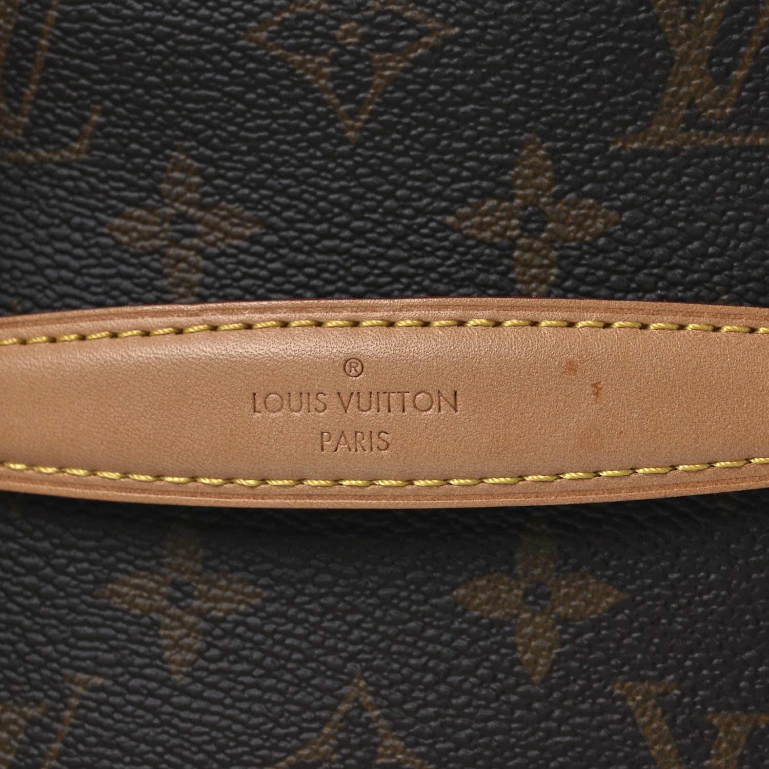 Louis Vuitton Monogram Nice Mini 10 of 10