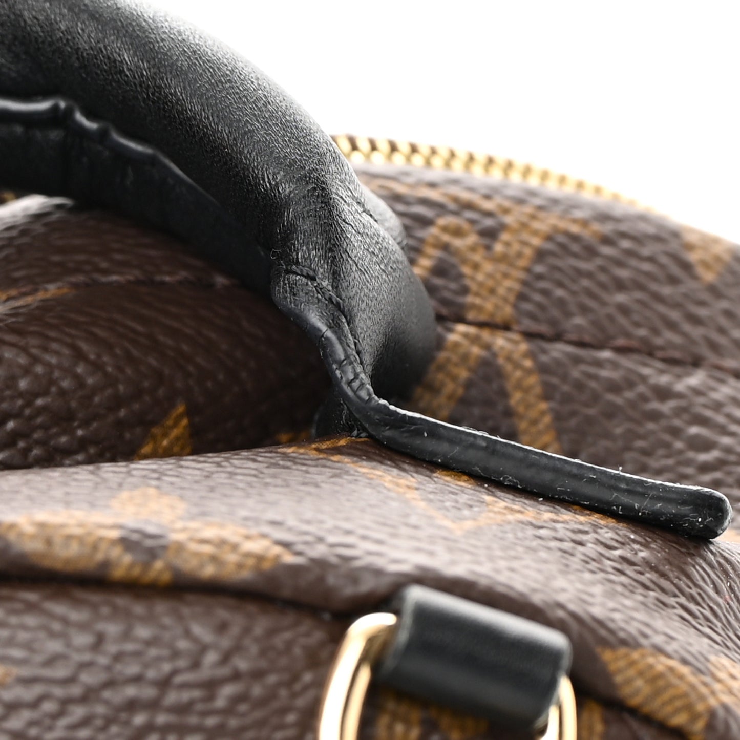 Monogram Palm Springs Backpack Mini