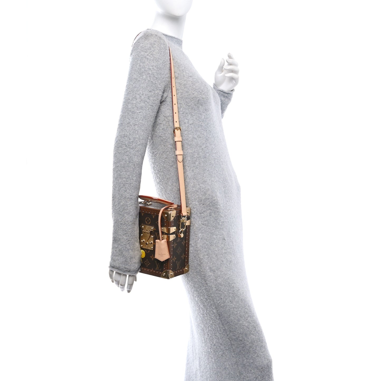Monogram Vivienne Camera Box