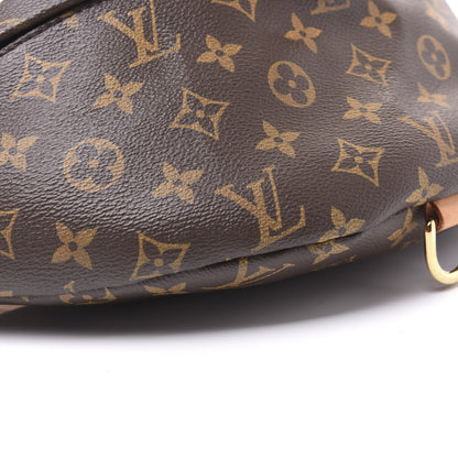 Louis Vuitton Monogram Bumbag 5 of 10